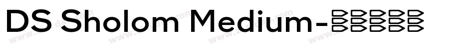 DS Sholom Medium字体转换
